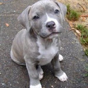 Meet your Posher, Cynthia